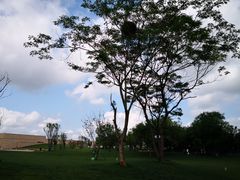 -盘龙城国家考古遗址公园