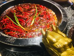 -蜀大侠火锅(建设路第五大道店)