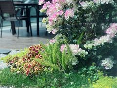 -木嘛working coffee(前海店)