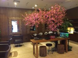 -红人馆造型世爵国际