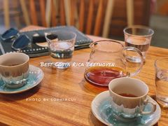 哥斯达黎加贝多芬-琥珀咖啡 Ambercoffee