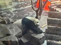 -济南野生动物世界