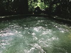 -融汇温泉