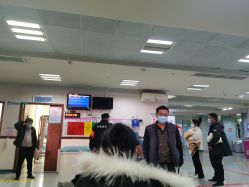 -重庆医科大学附属儿童医院(渝中院区)