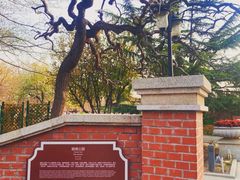 -睦南公园