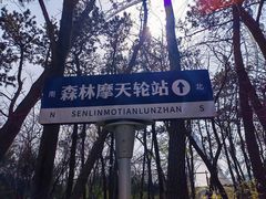 -日照海滨国家森林公园