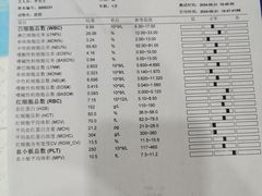 -博特宠物医院24h犬猫全科.骨科·异宠