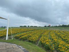 -歌斐颂巧克力小镇