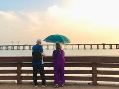 -宝安西湾红树林湿地公园