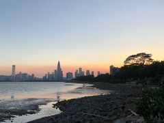 -深圳湾公园(南山区)