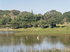-福建鲤鱼洲酒店