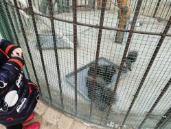 -萌宠亲子动物乐园(槐房万达店)