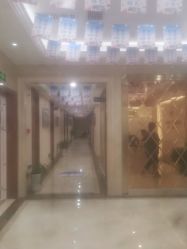 点击看大图 -碧莲盛·不剃发植发