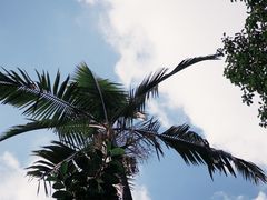 -东山茶寮(新安店)