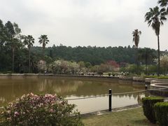 -明珠海港大酒店