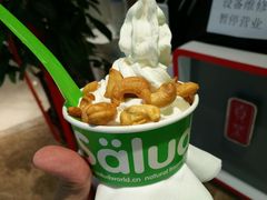 -Salud撒露欧洲冻酸奶(北苑上品店)