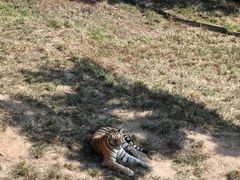 -西霞口神雕山野生动物世界