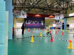 -长春乐奇平衡车儿童体能运动中心