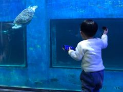 -华夏文旅海洋公园