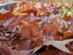 -家舍沐浴生活馆