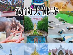 -西双版纳勐泐文化旅游区