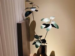 -木兰逸•泰式按摩•头疗•SPA(车公庙店)