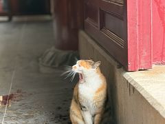 -高旻寺