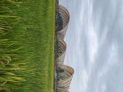 -中国天府农业博览园