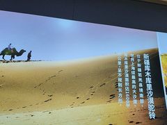 -西域胡氏大盘鸡(谈固店)