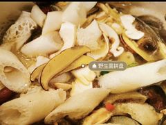 -野菌皇海景野生菌火锅(滨海大道店)