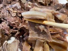 狗肉大全-英子补身汤(海兰路店)