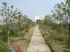 -花洲书院