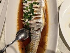 -金美华轩(东方路齐鲁店)