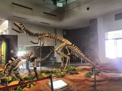 -自贡恐龙博物馆