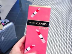 -米兰马尔彭萨国际机场