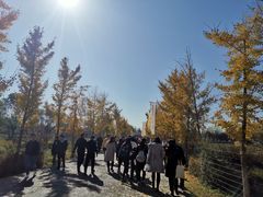 -汉景帝阳陵博物院