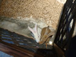 -酷嗒动物文化乐园(cutezoo西溪乐天城店)