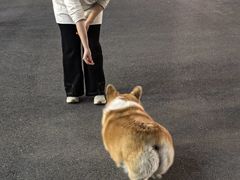 -肥朵食堂(带梦胡同店)