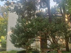 -上海虹桥迎宾馆