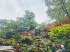 -南山植物园
