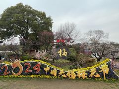 -无锡梅园公园