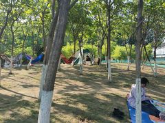 -丁香湖公园