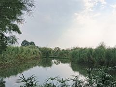 -捞渔河湿地公园