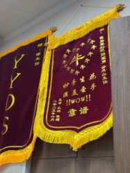 -上海玫瑰医疗美容医院