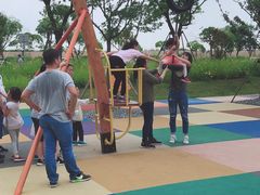 -春花秋色城市公园