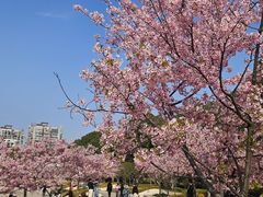 -新江湾城公园