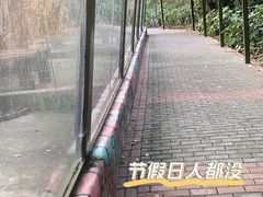 -常州淹城野生动物世界