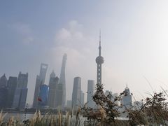 -北外滩滨江绿地