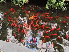 -凯德广场(学府店)