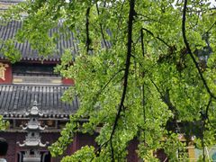 -西园戒幢律寺